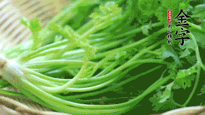 挑選鮮嫩的香菜，洗干凈后，處理成小段。