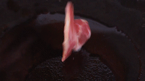 鍋中倒入橄欖油燒熱，放入淡火腿小火煸炒至打卷狀態(tài)。